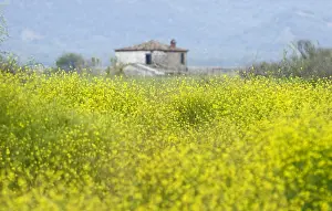 Lesbos Island Greece Prints: Lesbos
