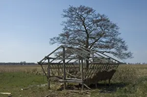 Landscape Photography Netherlands Prints: manual updated