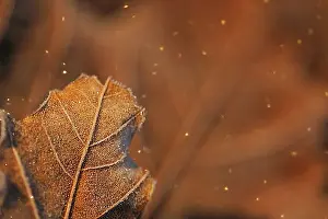 Winter Landscape Photography Tips Prints: manual updated