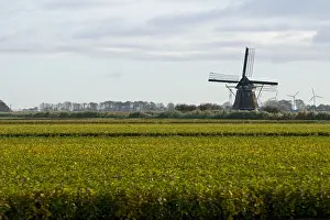 Windmill Netherlands Prints: Molen, Mill