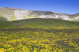 Italian Mountain Landscape Prints: Mountain Landscape