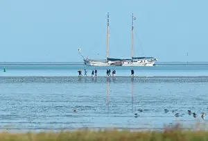 September Prints: Mudflat Walking Print from Agami