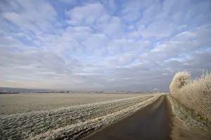 Dutch Farmland Photography Prints: Ooijpolder