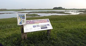 European Otter Habitat Prints: Ottersaat