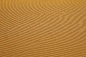 African Nature Scenes Prints: Patterns in desert sand