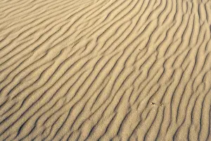 Patterns in Sand Print - Zuidduinen Summer Scene