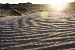 Framed Print : Patterns in sand Print, Zuidduinen Sandhill Summer Scene Framed Print : Patterns in sand Print, Zuidduinen Sandhill Summer Scene