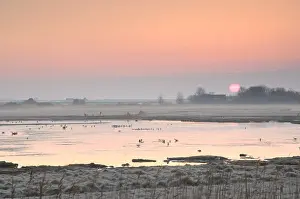 Holland Landscape Photography Prints: De Petten Texel