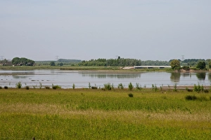 June Prints: Polder Maltha Print in De Biesbosch Landscape