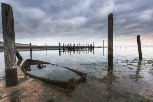 Texel Netherlands Prints: Port de Cocksdorp