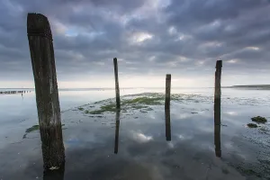 Wadden Sea Coastline Prints: Port de Cocksdorp