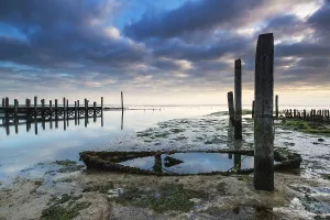 Low Tide Mudflats Europe Prints: Port de Cocksdorp