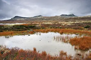 Rondane National Park Prints: Rondane