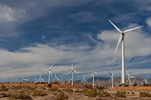 California Scenic Views Prints: Rows of windmills on a wind farm