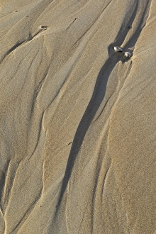 Agami Beach Sand Structure Print