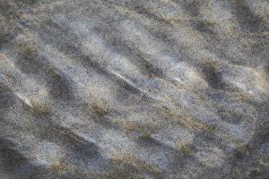 Wadden Sea Nature Reserve Prints: Sand pattern