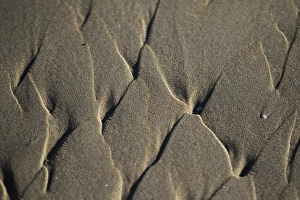 Wadden Sea Nature Reserve Prints: Sand pattern