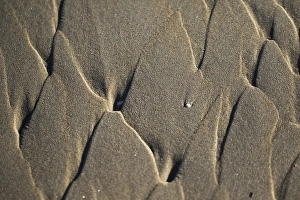 Agami Beach Sand Pattern Print