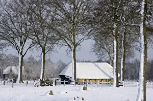Dutch Countryside Landscapes Prints: Schaapskooi, Sheep barn