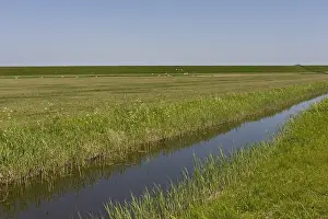 Netherlands Countryside Prints: Sloot, Ditch