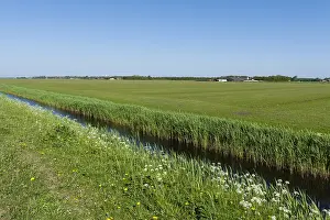 Netherlands Rural Scenery Prints: Sloot, Ditch