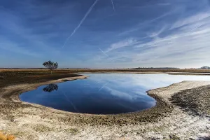 Wetland Landscape Germany Prints: Solitaire tree at the field