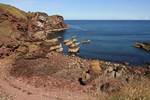 Scottish Coast Scenery Prints: St Abbs Head