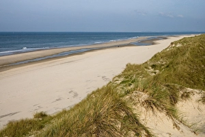 Dutch North Sea Coast Prints: Strand, Beach