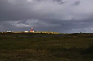 Texel Lighthouse Prints: Texel, Texel