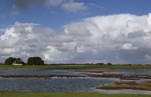 Texel, Texel