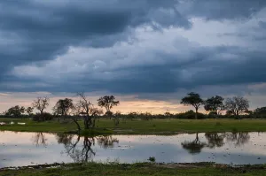 African Nature Reserve Photography Prints: A thunderstorm approaching the Okavango delta