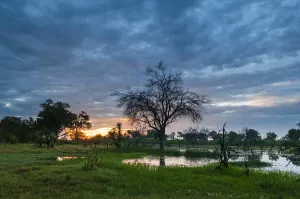 African Landscape Photography Tips Prints: A thunderstorm approaching the Okavango delta at sunset