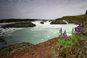 Europe Landscapes Prints: Urridafoss