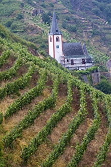 European Viticulture Landscape Prints: Viticulture landscape