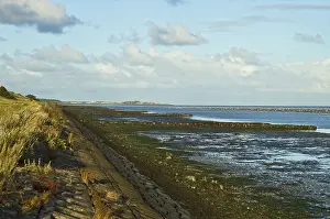 Friesland Nature Reserve Prints: Vlieland