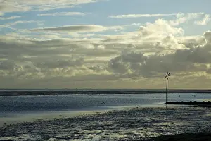 Friesland Nature Reserve Prints: Vlieland