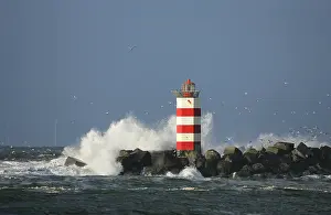 North Sea Lighthouse Prints: Vuurtoren, Lighthouse