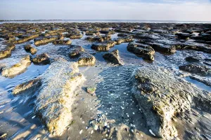 UNESCO World Heritage Site Wadden Sea Prints: Waddensea