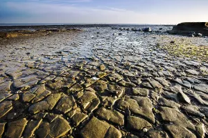 European Water Scenery Prints: Waddensea