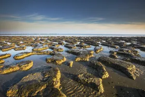 Low Tide Mudflats Europe Prints: Waddensea