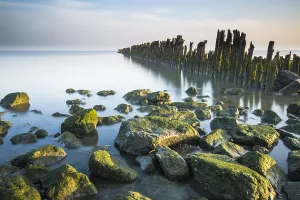 Low Tide Mudflats Europe Prints: Waddensea