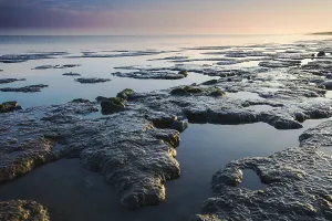 Waddensea Sandbars Print