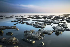 Waddensea Sandbars Print