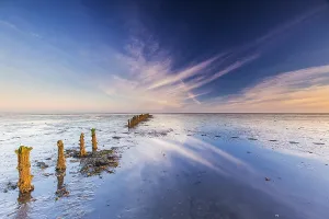UNESCO World Heritage Site Netherlands Prints: Waddensea