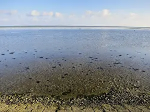 Netherlands Coast Prints: Waddenzee, Wadden Sea