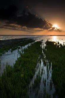 Dutch Coast Scenery Prints: Waddenzee, Waddensea
