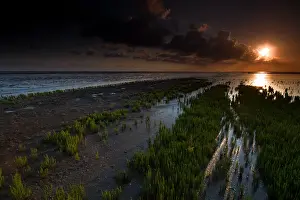 Wadden Sea Nature Reserve Prints: Waddenzee, Waddensea