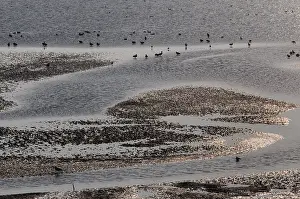 Netherlands Landscape Prints: Waddenzee, Waddensea