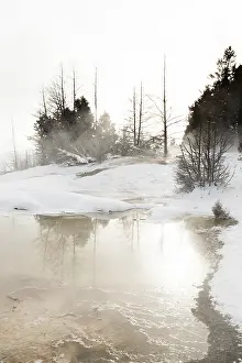 Yellowstone National Park Winter Prints: Warmwaterbron, Hot Spring