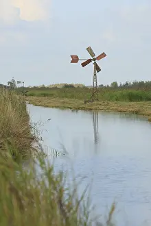 Wetland Landscape Prints: De Weerribben
